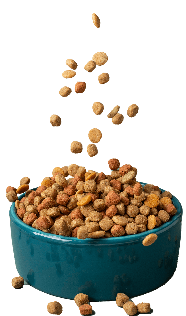 Vetrisync pet food products